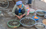 Kina 2014 – Xizhou
