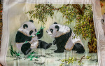 Kina 2014 – Xizhou