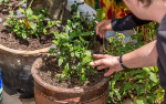 Kina 2014 – Zhouchenng