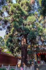 Kina 2014 – Kunming – Bamboo Temple