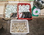 Kina 2014 – Kunming