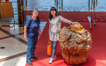 Kina 2014 – Kunming