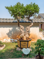 Kina 2014 – Kunming – Daguan Park