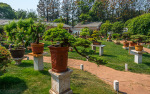 Kina 2014 – Kunming – Daguan Park