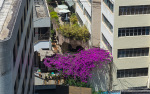 Kina 2014 – Kunming