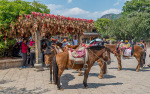 Kina 2014 – Lijiang Old Town