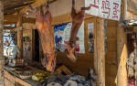 Kina 2014 – Lijiang-Shangri-la køretur