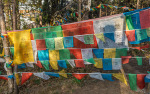 Kina 2014 – Shangri-la Old Town