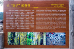 Kina 2014 – Shangri-la – Potatso Nationalpark