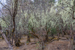 Kina 2014 – Shangri-la – Potatso Nationalpark