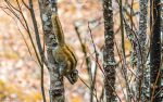 Kina 2014 – Shangri-la – Potatso Nationalpark