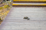 Kina 2014 – Shangri-la – Potatso Nationalpark