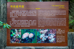 Kina 2014 – Shangri-la – Potatso Nationalpark