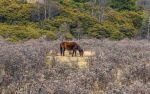 Kina 2014 – Shangri-la – Potatso Nationalpark