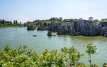 Kina 2014 – Kunming – Stenskoven