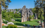 Kina 2014 – Kunming – Stenskoven
