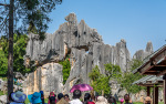 Kina 2014 – Kunming – Stenskoven