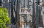 Kina 2014 – Kunming – Stenskoven