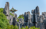 Kina 2014 – Kunming – Stenskoven