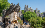 Kina 2014 – Kunming – Stenskoven