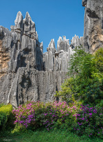 Kina 2014 – Kunming – Stenskoven