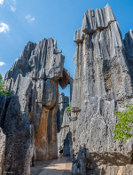 Kina 2014 – Kunming – Stenskoven