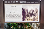 Kina 2014 – Kunming – Stenskoven