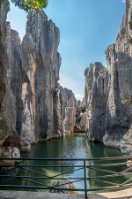 Kina 2014 – Kunming – Stenskoven