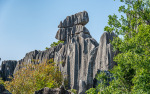 Kina 2014 – Kunming – Stenskoven