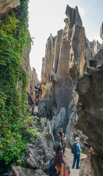 Kina 2014 – Kunming – Stenskoven