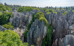 Kina 2014 – Kunming – Stenskoven