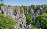 Kina 2014 – Kunming – Stenskoven