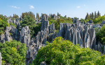 Kina 2014 – Kunming – Stenskoven