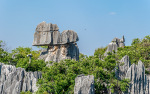 Kina 2014 – Kunming – Stenskoven