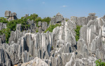 Kina 2014 – Kunming – Stenskoven