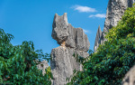 Kina 2014 – Kunming – Stenskoven