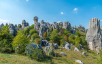 Kina 2014 – Kunming – Stenskoven