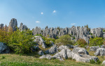 Kina 2014 – Kunming – Stenskoven