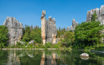 Kina 2014 – Kunming – Stenskoven
